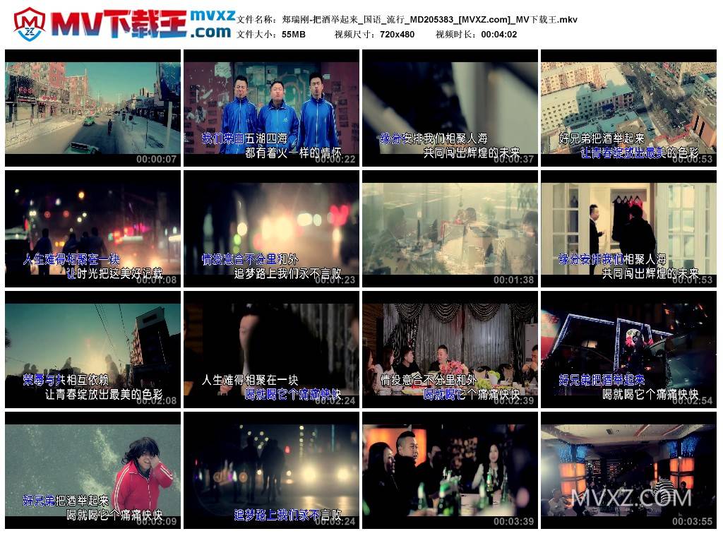 郏瑞刚-把酒举起来_国语_流行_MD205383